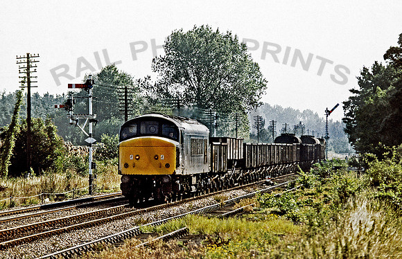 45005-Brandon-020982-GE3442