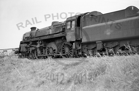 75003-Y-SevernTJ-210366-JC771