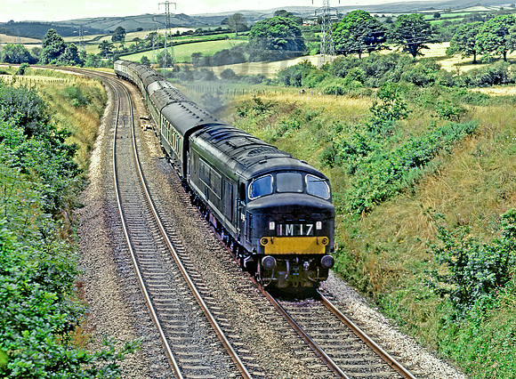 D165  DAINTON 110872  PF028