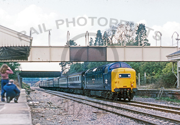 55003 Badminton 121075 GS952