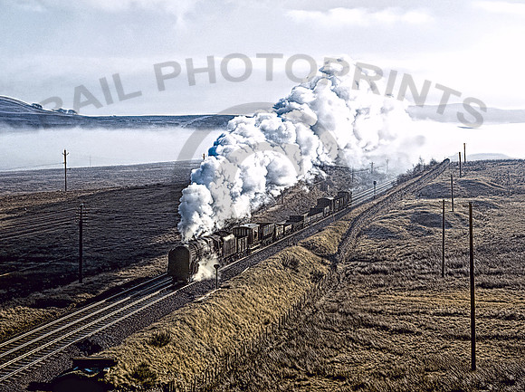 Brit  Shap 0168 NS2109-17R