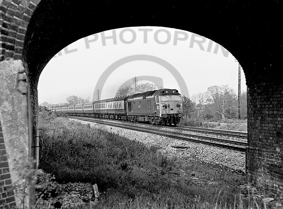 50026-Somerton-200578-JC