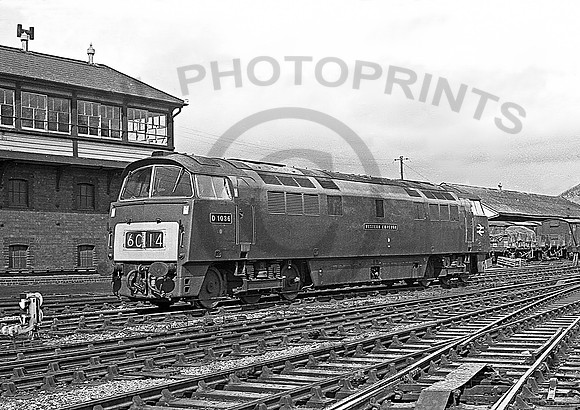 D1036-ExeterStDavids-0369-RC065