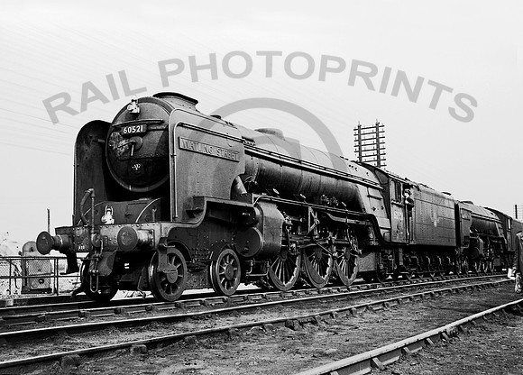 60521 Doncaster Shed  1959 NP329
