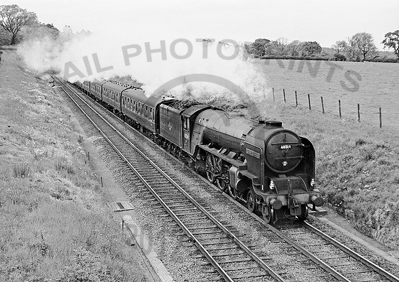 60514 Peasecliffe  220561 HB330