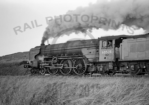 60528-Riccarton-101265-BR777