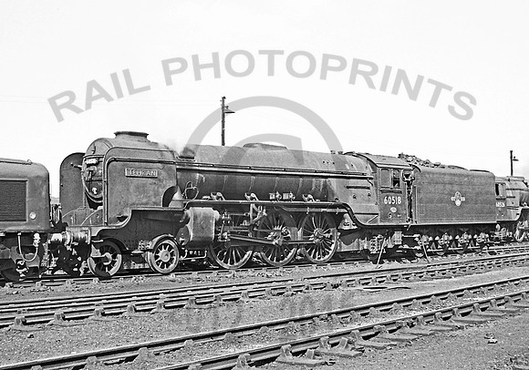 60518 York 290462 IT699R