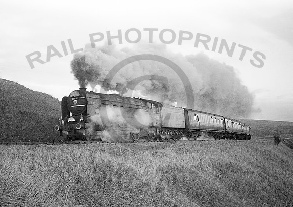 60528-Riccarton-101265-BR778