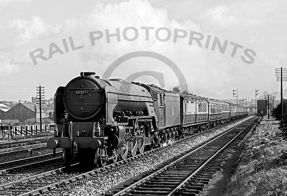 60537 Haymarket 250955   DA051R
