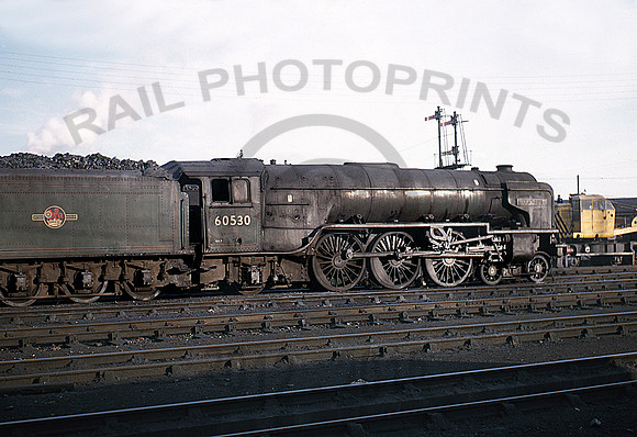 60530-Dundee-0766-BR544