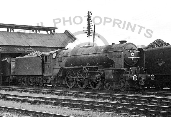 60530-Y-Dundee-0366-RPC300