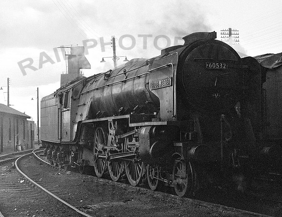 60532-Dundee-0366-RP297