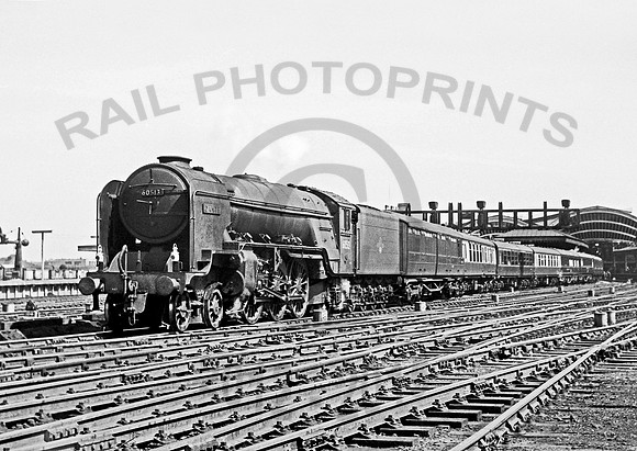 60513 York 220559 NP319
