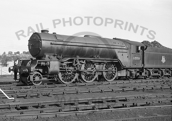 60816 Haymarket  1956 DA816993