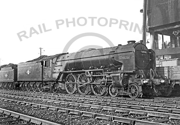 60536 Haymarket-0462-RPC475R