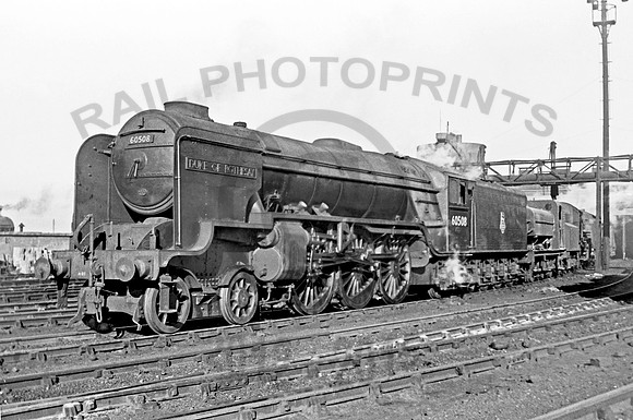60508 Heaton  1955 NP315R