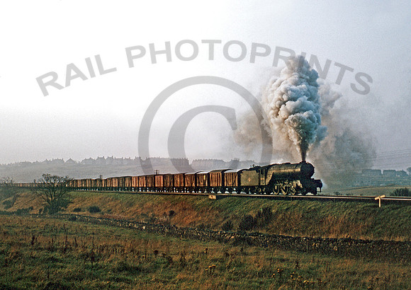 60844-Aberdeen-BR546R