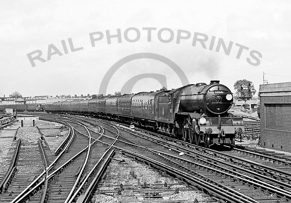 60917 Wimbledon 1953 JDC559