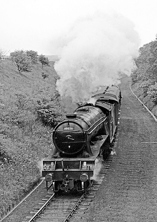 60836  Alnwick 010666  HB66G582