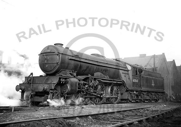 60860 Haymarket 220253 DA819004