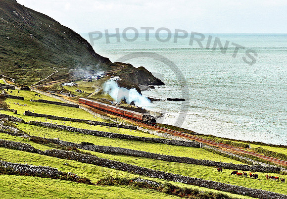 76079 Llangelynnin-Towyn 0808 GE