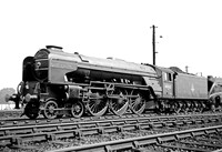 60162 Haymarket 0553  DA361