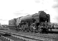 60159 Haymarket 220359  DA341
