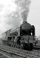 60161 Haymarket 310356  DA346