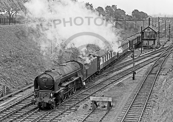 60133 Tuxford 100857 NPC075R