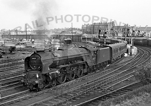60129 West Hartlepool  NPC109