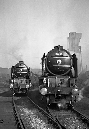 60159 Haymarket Shed 130953 DA194