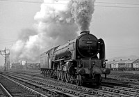 60161 Haymarket 310356  DA344