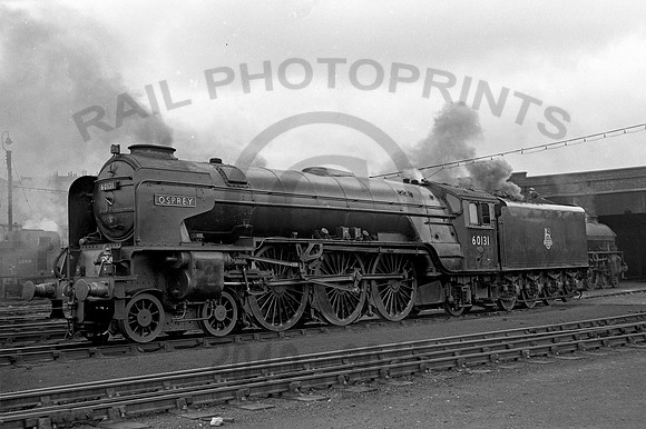60131 Ardsley 030856  NPC108