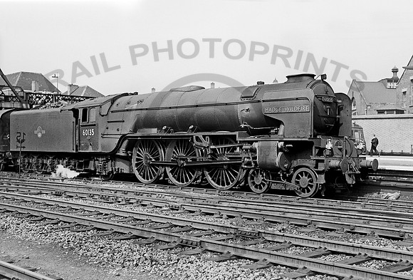 60135 Doncaster  1960 NPC111