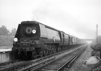 21C17-Y-Malden-1947-DCCRL080