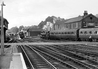 Pannier-Exeter-0762-RPC640