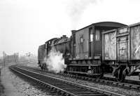 Hall-Westbury-0463-659