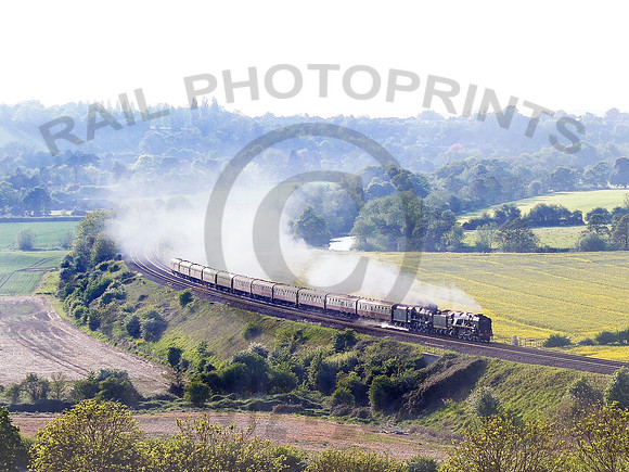 34052 - 46100 Newton Meadows 070517 JC052