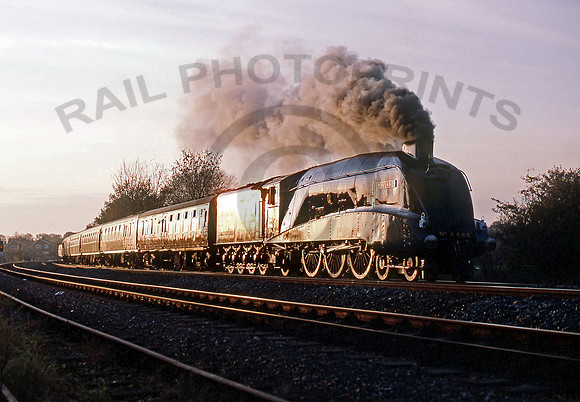 4468-Y-Hatton-021186-BR2581