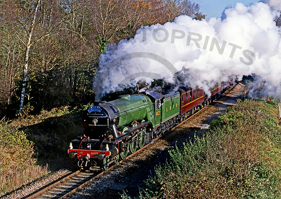 4472 Buckhorn Weston 201199 JC507