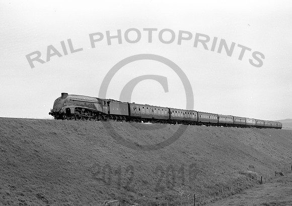 4498  Monkton in Came Halt 040667  HB67D719