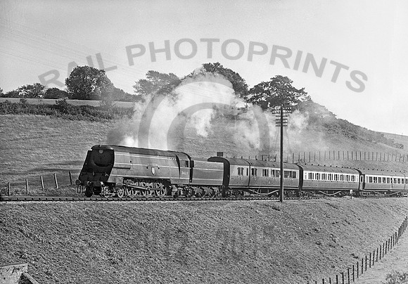 34019-Y-Honiton-1951-RPC836