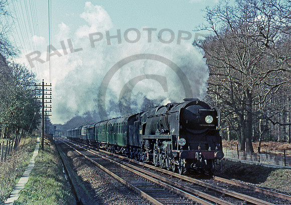 34089-Y-New-Forest-280367-DR554
