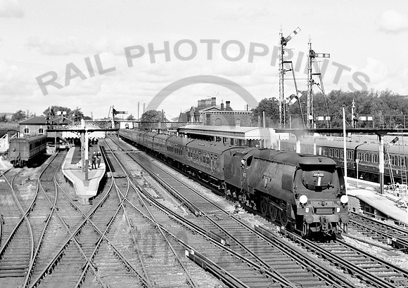 34092 Paddock Wood 100661 DC167