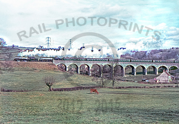 34006 Prestleigh 050366 HB300