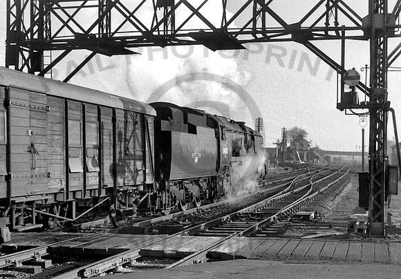 34010 Basingstoke 311260 IT174