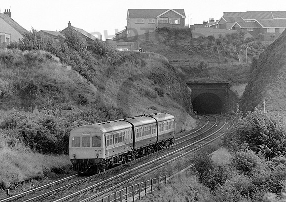 SC50176-Y-Kinghorn-100882-JC374