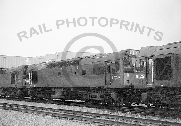 D5296-Toton-110965-RPC027