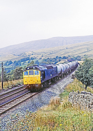 25254 DEnt Head 090981 JC051