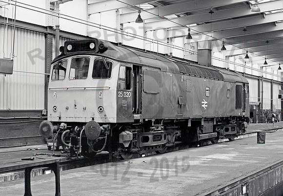 25320 Reddish 080681 JC558